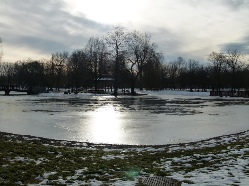 Kto zadba o Park Miejski w Zduńskiej Woli?