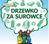 Bielsko-Biała: Fundacja Arka po raz kolejny organizuje akcję Drzewko za surowce.