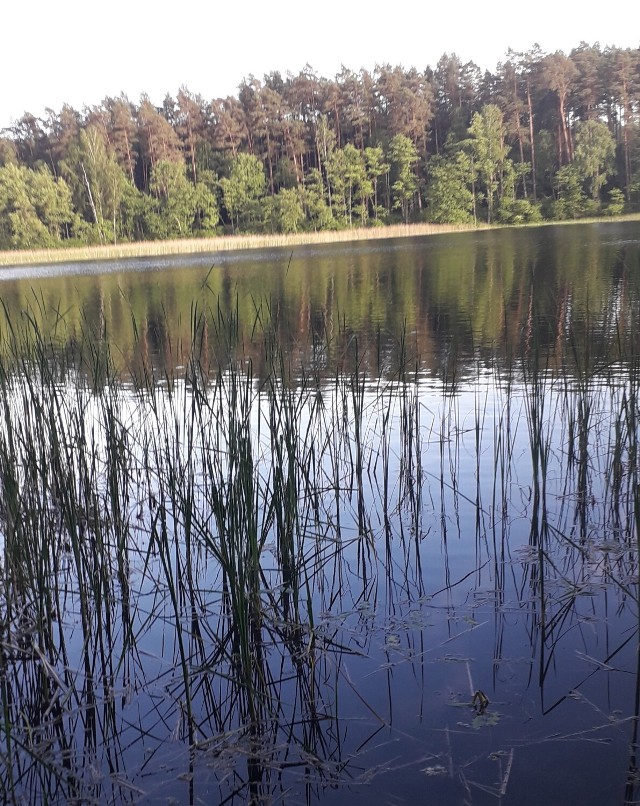 Jeziora w gminie Tuchola są piękne, trzeba tylko zadbać o odpowiednią infrastrukturę