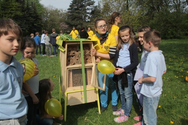 Wielki Dzień Pszczół i wystawa Litopsy - żywe kamienie w Ogrodzie Botanicznym w Łodzi