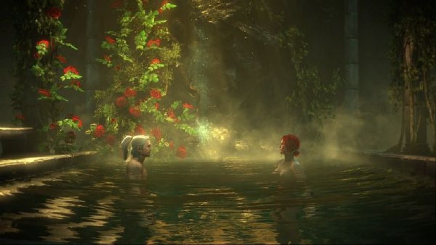 Kadr z gry "Wiedźmin 2"