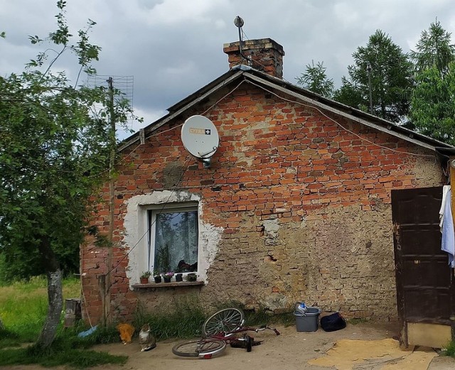 Lisieccy żyją bardzo skromnie, ale starają się. Możemy im pomóc.