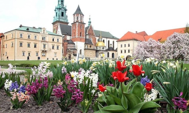 Miejsca w Krakowie, które najładniej wyglądają wiosną. Idealnie nadają się na wiosenny spacer [ZDJĘCIA]