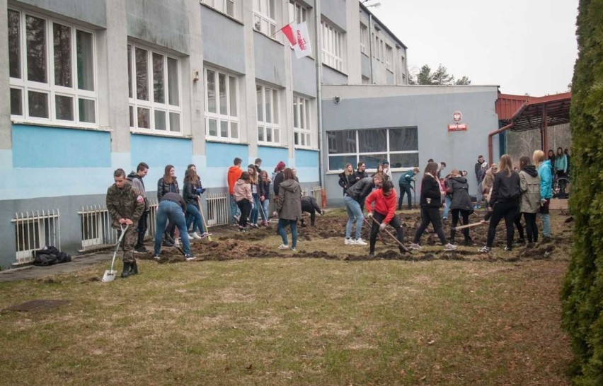 Wolbrom. Nauczyciele i uczniowie Zespołu Szkół zasiali łąkę kwietną