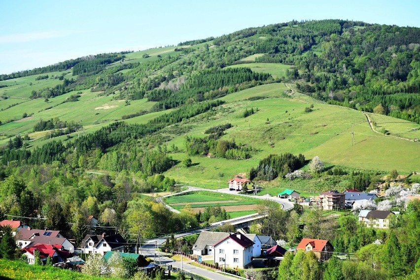 Samoklęski, Kąty, Myscowa.... Takie widoki, przyroda i kolory lata tylko w Beskidzie Niskim 