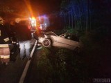 Kierowca BMW potrącił jelenia na drodze krajowej 45 w Jełowej pod Opolem