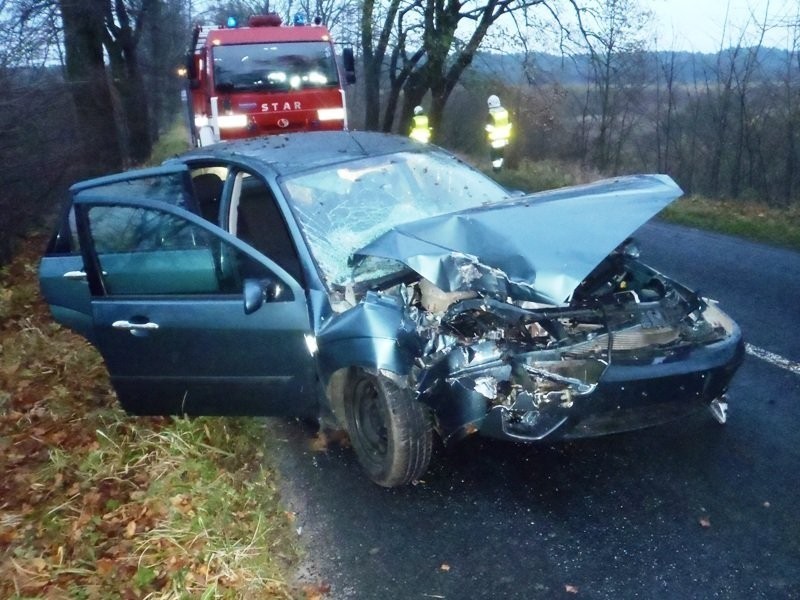 Wypadek koło Braniewa: ford uderzył w drzewo [zdjęcia]