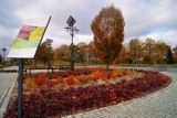 Park sensoryczny w Bieruniu-Bijasowicach [ZDJęCIA]