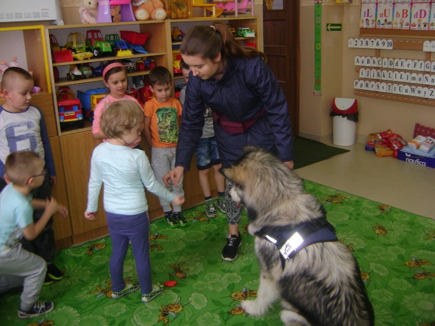 Przedszkolaki pomagają psom w azylu