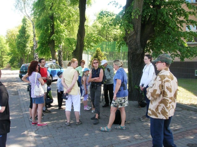 Krywałdzką trasą uczestnik&oacute;w oprowadziła ornitolog Aleksandra Sok&oacute;ł. Dowiedzieliśmy się, jakich ptak&oacute;w możemy spodziewać się, na co zwr&oacute;cić szczeg&oacute;lną uwagę oraz zapoznaliśmy się z sylwetkami ptak&oacute;w. Fot. Piotr A.