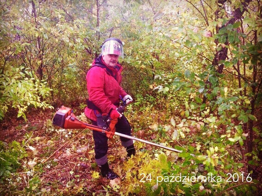 Augustów. Park na Lipowcu zostanie zagospodarowany. Zobacz, jak będzie wyglądał