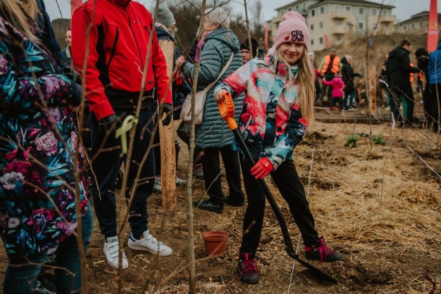 W Gdańsku mieszkańcy zasadzili nowe drzewa i krzewy. Pojawiło się ponad 700 nowych roslin!