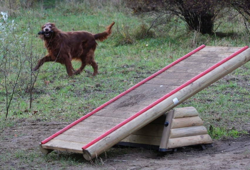 Dog Park Wilanów zlokalizowany jest przy Plaży Wilanów, ul....