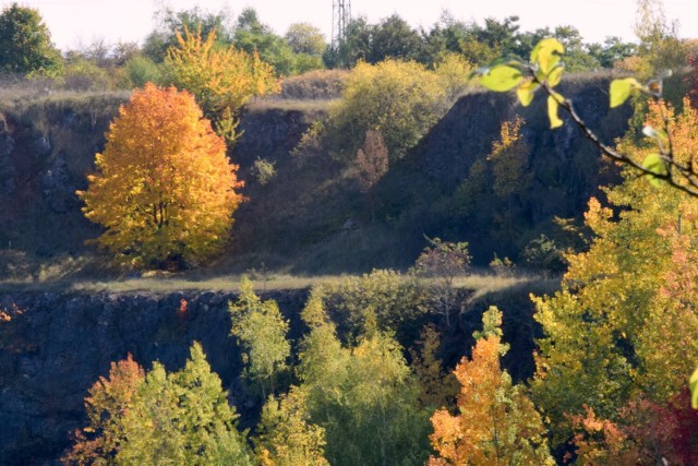 Jesień zawitała do Rezerwatu Wietrznia w Kielcach. Barwne liście na drzewach dodają mu uroku. Widoki aż zapierają dech w piersiach. 

Zobacz więcej na kolejnych slajdach >>>