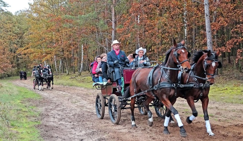 Dziś święto myśliwych i jeźdźców. Zobaczcie zdjęcia z Hubertusa pod Skokami [ZDJĘCIA]