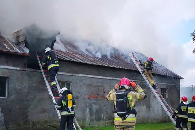 Pożar w Gilwie gasili strażacy z PSP w Kwidzynie, OSP Prabuty, OSP Rakowiec i OSP Kołodzieje.