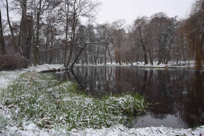 Pałac i park w Lewkowie w zimowej odsłonie prezentują się...