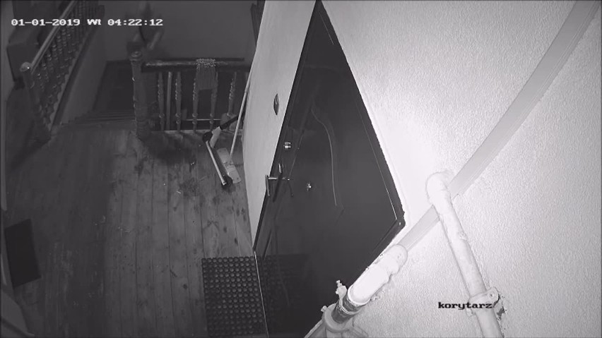 Dolny Śląsk. Podpalili drzwi do mieszkania. Szuka ich policja [ZOBACZ FILM]