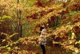 Piękne, jesienne obrazki z Krosna Odrzańskiego. Zobaczcie zdjęcia złotej jesieni w naszym mieście