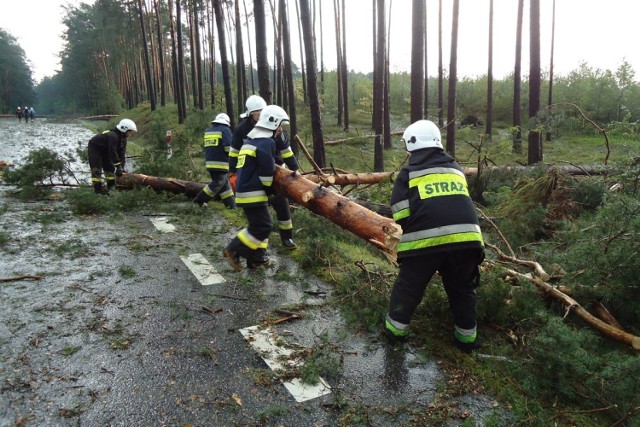 Silnie wiejący wiatr dał się też we znaki w Piotrkowie i powiecie