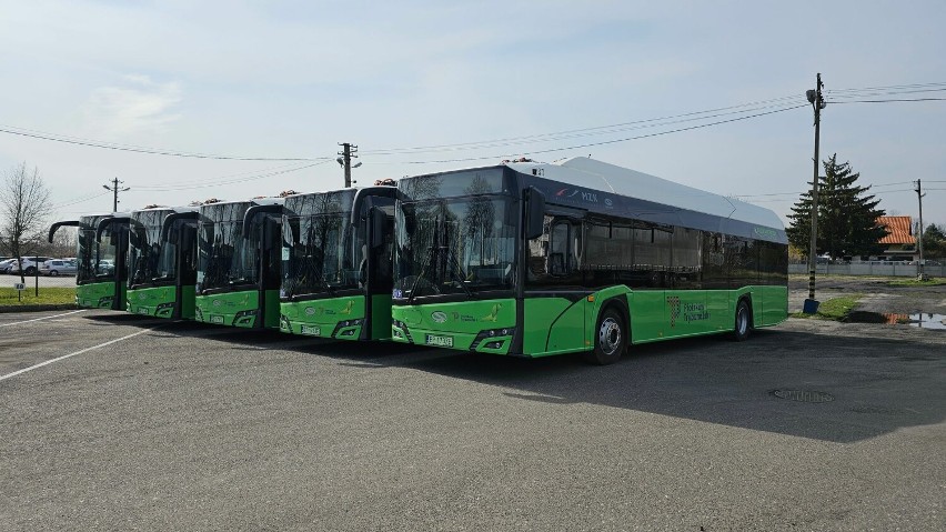 Nowe autobusy elektryczne wyjechały na ulice miasta. To kolejne "elektryki" w miejskim taborze MZK w Piotrkowie ZDJĘCIA