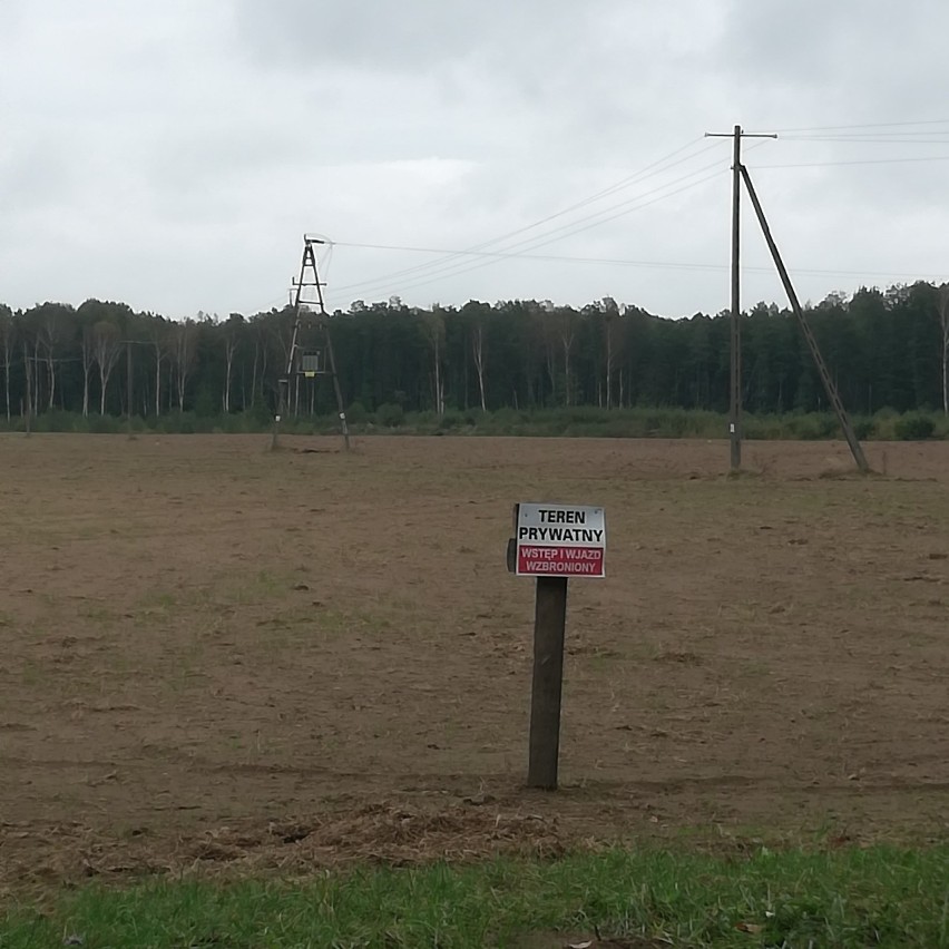 Tak wygląda teren budowy fermy kurzej w Kacprowie.