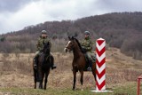 Ogólnopolski Dzień Koni. Wierzchowce pomagają ochraniać podkarpacki odcinek polsko-ukraińskiej granicy [ZDJĘCIA, WIDEO]