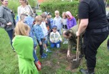 Dzień Ziemi w Łazach. UTW i uczniowie sadzili drzewka FOTO