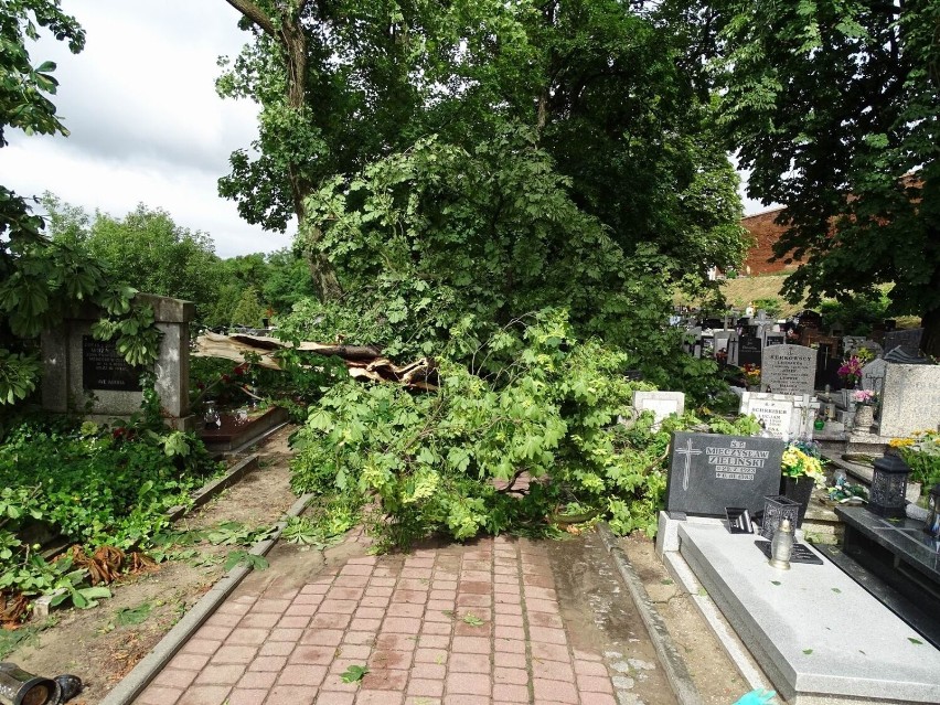 Trwa usuwanie skutków silnego wiatru i burzy w Chełmnie