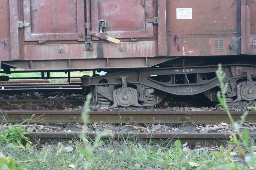 Pociąg towarowy wykoleił się w Gorzowie.