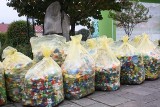 Sadzonki za odpady czyli eko-piknik w Myślenicach już 24 września