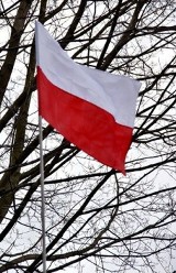 Narodowy Dzień Pamięci "Żołnierzy Wyklętych" w Łodzi - zdjęcia