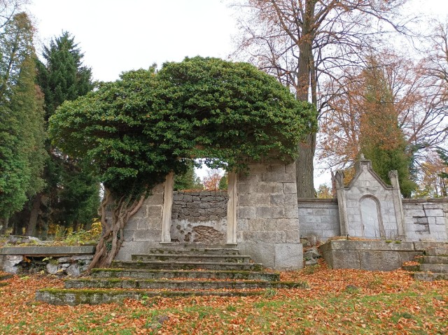 Cmentarz ewangelicki w Szklarskiej Porębie to miejsce smutne i piękne