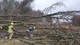 Orkan Eunice w powiecie sławieńskim. Wielu mieszkańców wciąż bez prądu [Aktualizacja]