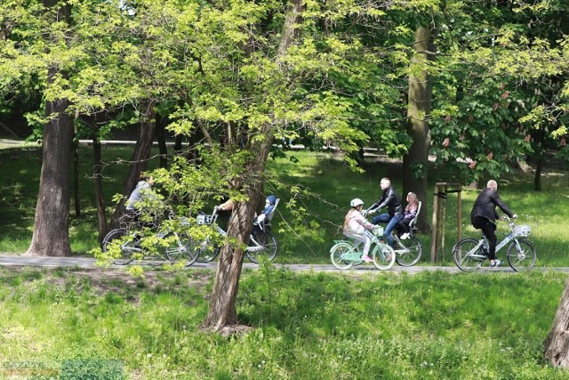 Park im. Sienkiewicza we Włocławku zostanie przebudowany na obszarze od ul. Kardynała Wyszyńskiego do ul. Okrzei