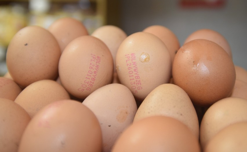 Jaja zostały sklasyfikowane i zapakowane w opakowania...