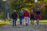 Kraśnik zaprasza na spacer. Weź udział w zajęciach nordic walking i zrób formę na lato