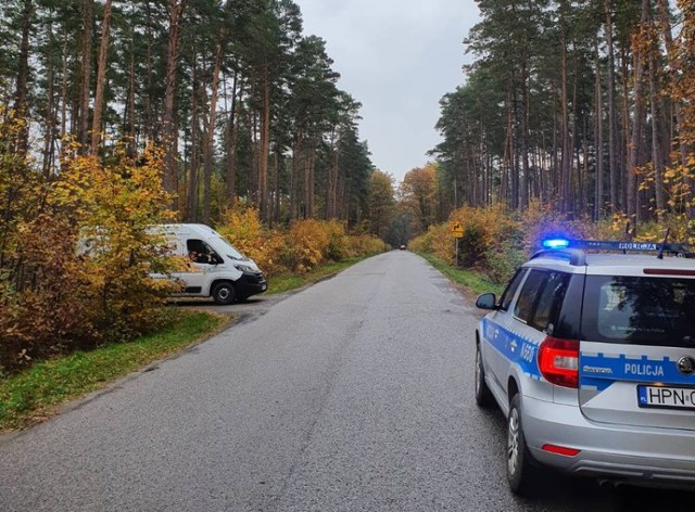 Do kolizji z dzikim zwierzęciem doszło we wtorek, 18 października, w okolicy Ryjewa na drodze krajowej nr 55. Łoś wtargnął wprost pod nadjeżdżający samochód, zwierzę nie przeżyło.