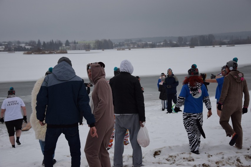 WOŚP 2019 w Kraśniku. Morsy wykąpały się w kraśnickim zalewie (ZDJĘCIA, WIDEO)