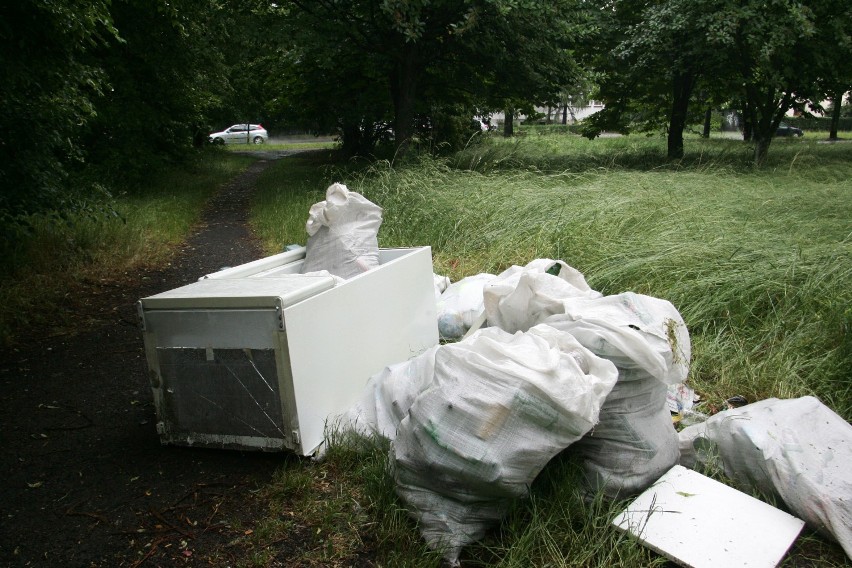 Odpady wielkogabarytowe oraz zużyty sprzęt elektryczny i...