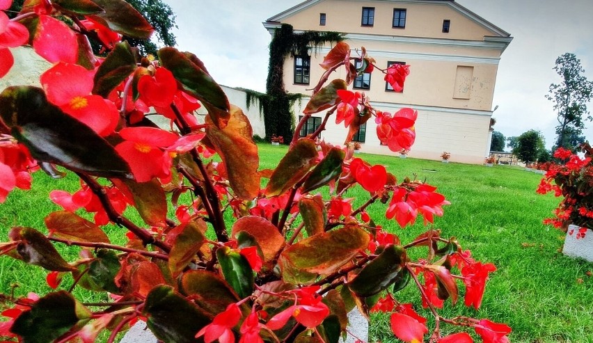 Jesień zawitała do Złoczewa. Zobacz jak się prezentuje miasto w scenerii tej pory roku ZDJĘCIA