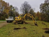 Oryginalny park powstaje nad zalewem w Kielcach. Każde drzewo będzie miało patrona [ZDJĘCIA]