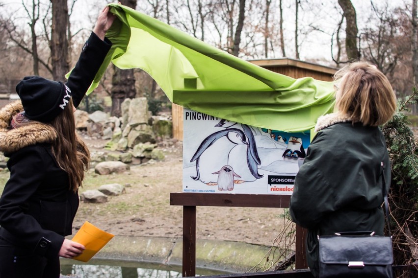 Warszawskie ZOO. Pingwiny dostały w prezencie nową tablicę