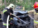 WSCHOWA. W poniedziałek 22 czerwca 2020 roku na parkingu wędkarskim w Lginiu doszczętnie spłonęło auto [ZDJĘCIA] 