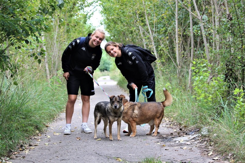 Piłkarki Medyka Konin odwiedziły schronisko dla zwierząt