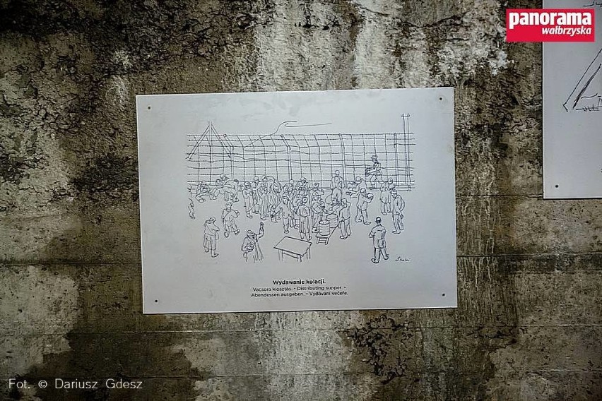 Grafiki dokumentujące zagładę, w Sztolniach Walimskich [ZDJĘCIA]