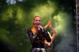 Kate Ryan, OMD i The Stranglers wystąpią na wrocławskim Sylwestrze z Dwójką