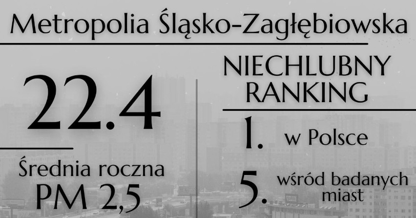 Ilu ludzi ginie rocznie przez smog w Śląskiem? Jesteśmy w pierwszej 10. na świecie - RANKING