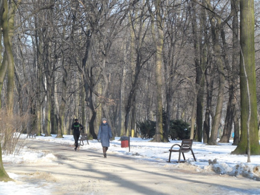 Bytom : Park - przedwiośnie 2015. Spacer po parku miejskim im. F. Kachla