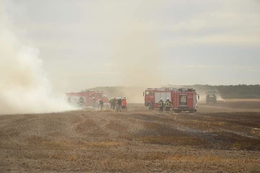 Strażacy poradzili sobie z pożarami jak zawsze w porę